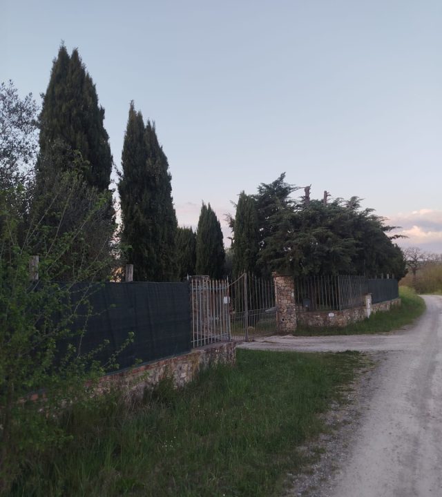 WhatsApp Image 2025-04-09 at 19.27.11